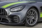 Mercedes-AMG GT R PRO 2019 года (WW)